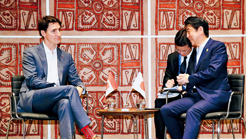 加拿大總理杜魯道（左）善用「襪子外交」，他的襪子選用大膽花色，和日本首相安倍晉三（右）的素色襪子形成鮮明對比。