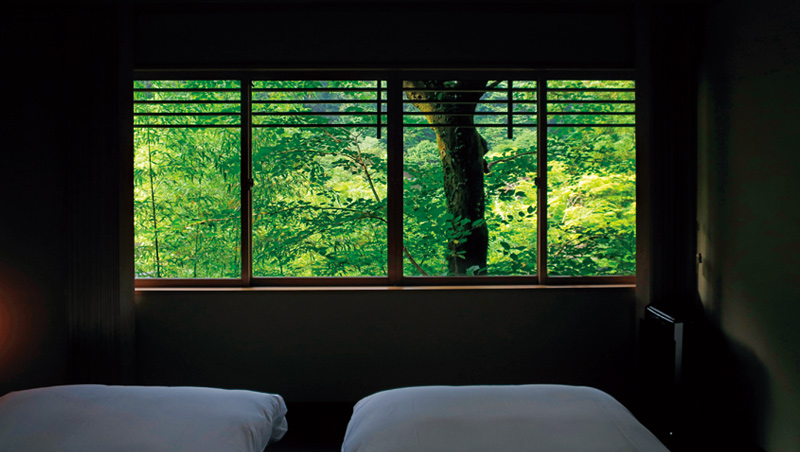 京都虹夕諾雅旅店的長型窗戶，框住窗外的綠葉扶疏，可欣賞四季變化。