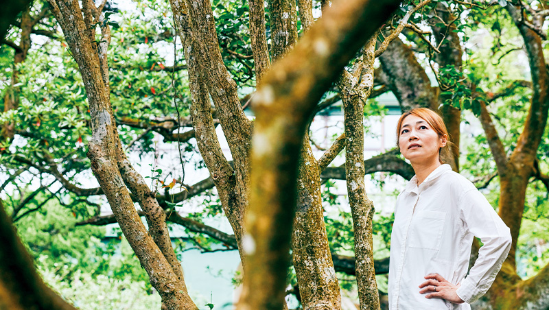 詹鳳春是目前台灣唯一持有日本認證樹木醫執照的女性樹醫，有樹的地方，都是她的診間。（攝影：石吉弘）