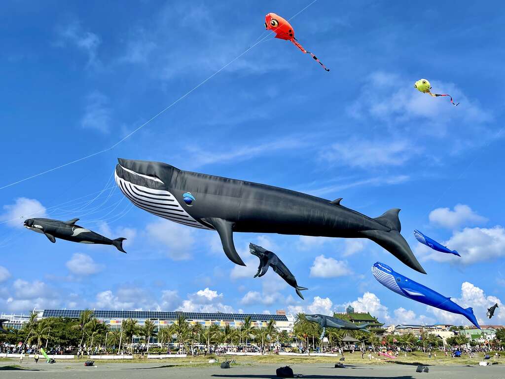 活動放飛不同造型風箏，將天空點綴得亮麗繽紛。