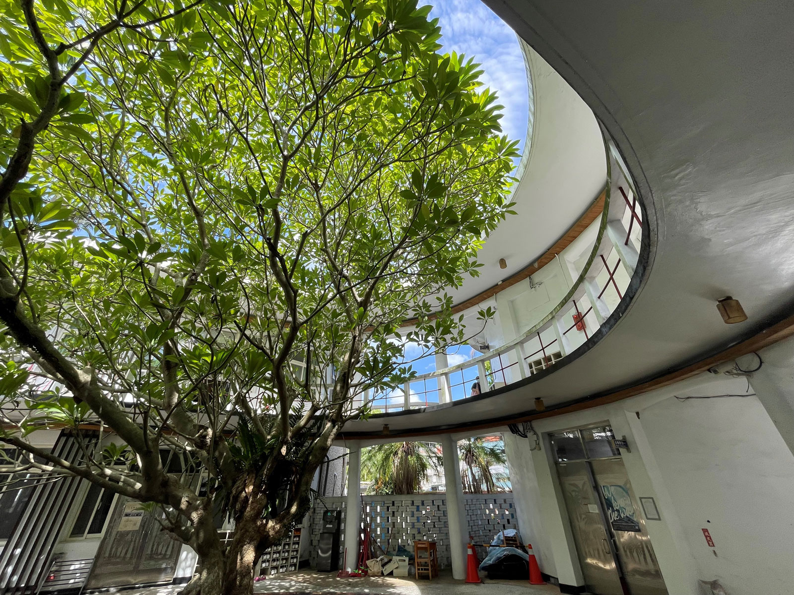藝能館建築以合院式的空間呈現，正中間巨大的雞蛋花樹，有如神話般的存在。（攝影／李清志）