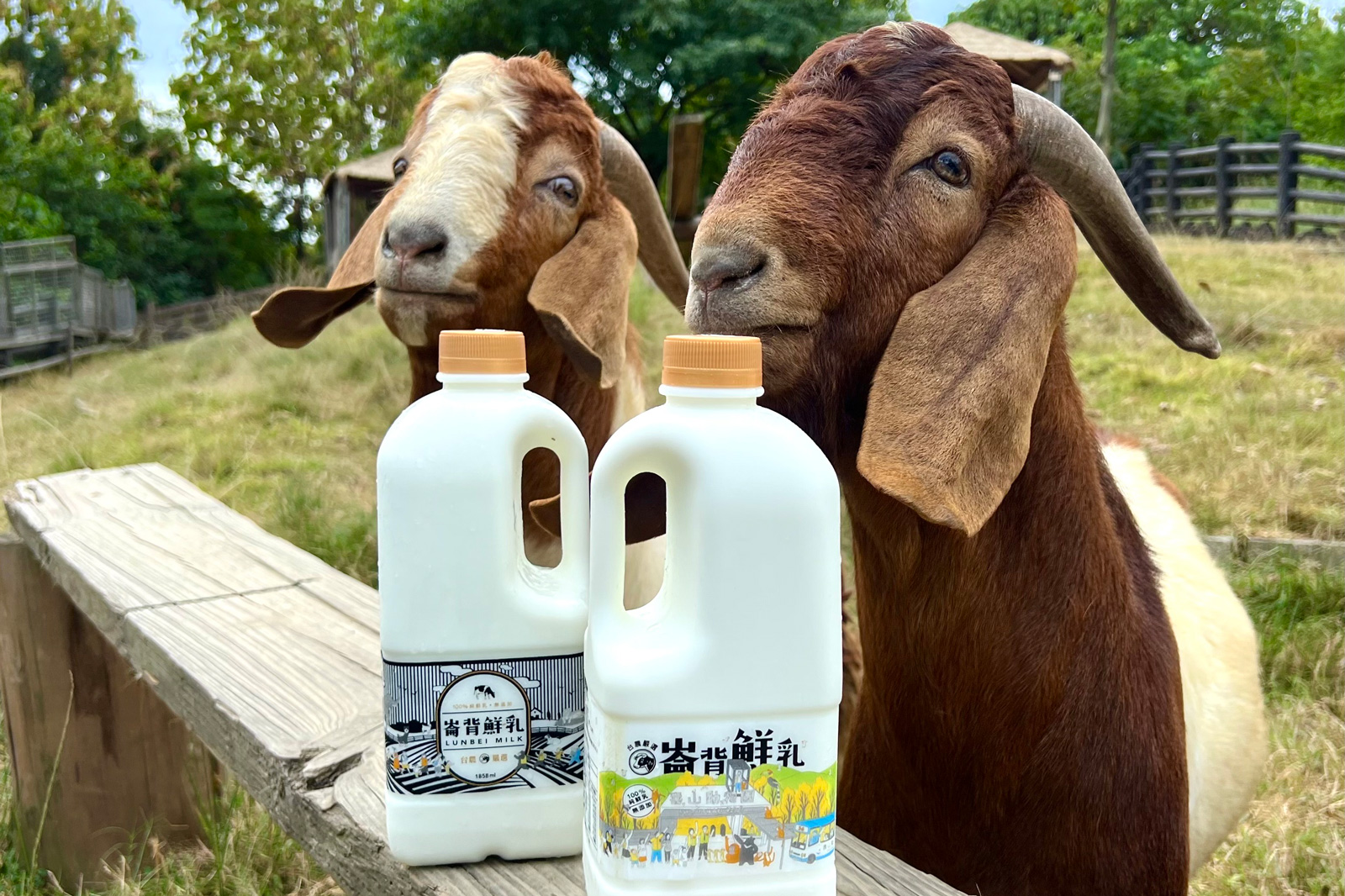 壽山動物園和崙背鮮乳聯名商品。（圖片來源／高雄市觀光局）