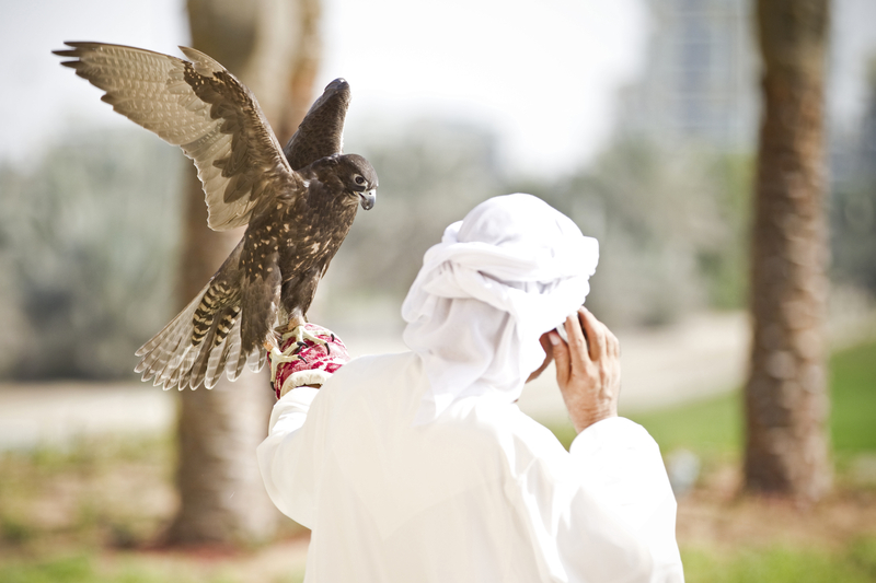 飼養獵鷹在卡達、沙烏地阿拉伯等國家非常流行，許多中東航空公司提供獵鷹運送服務，獵鷹甚至有自己的專屬護照。（圖片來源／dremastime）