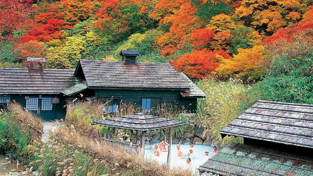 秋天泡鶴之湯,楓紅相伴。日本人超喜歡泡湯,彼此袒裎相見,坦蕩自在。(圖片來源/秋田縣觀光連盟)