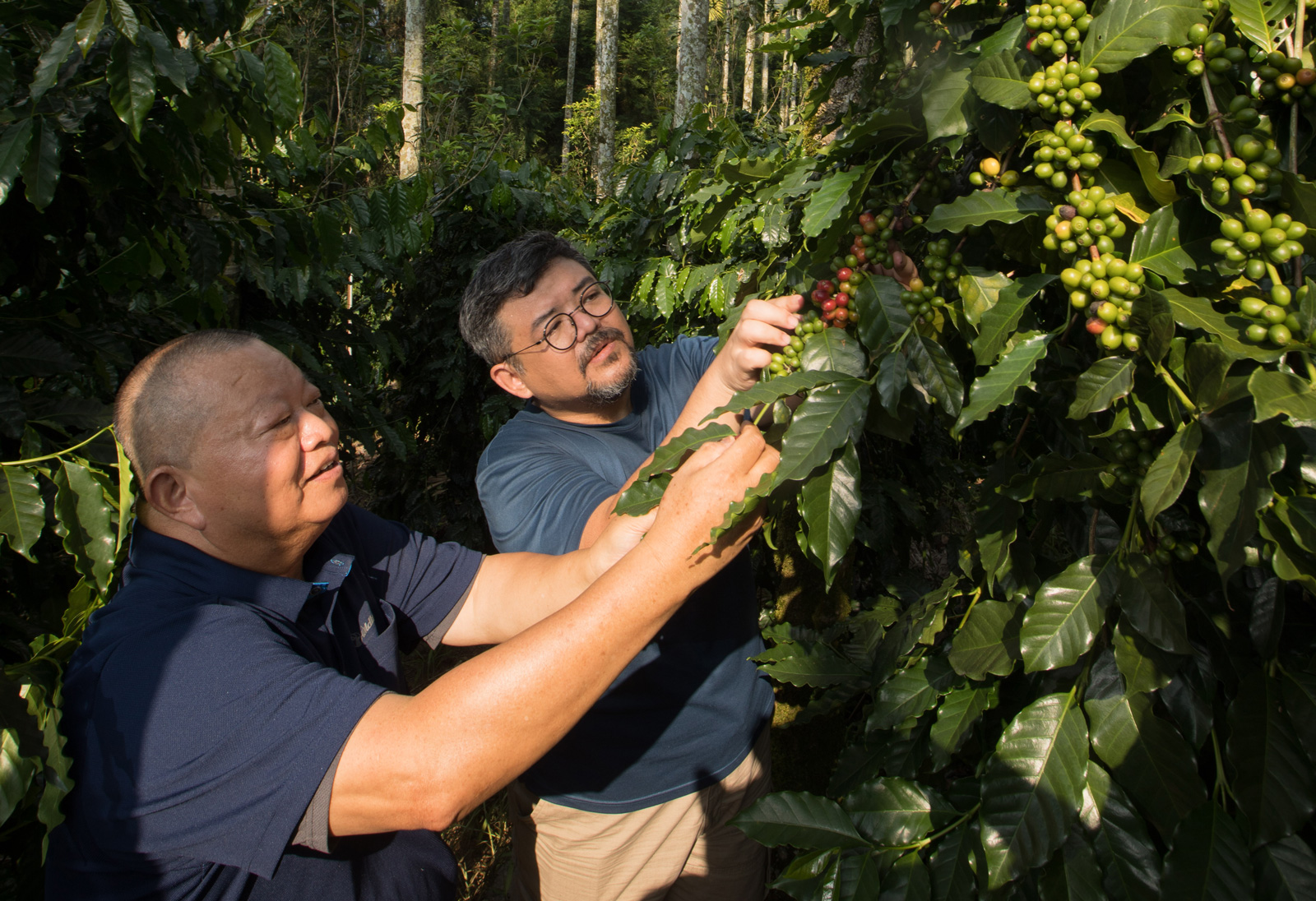 蘇春賢（左）種植咖啡已有20年資歷，他主理的「百勝村咖啡莊園」是Fika Fika Cafe創辦人陳志煌（右）口中的「台灣奇蹟」。（攝影／陳宗怡）