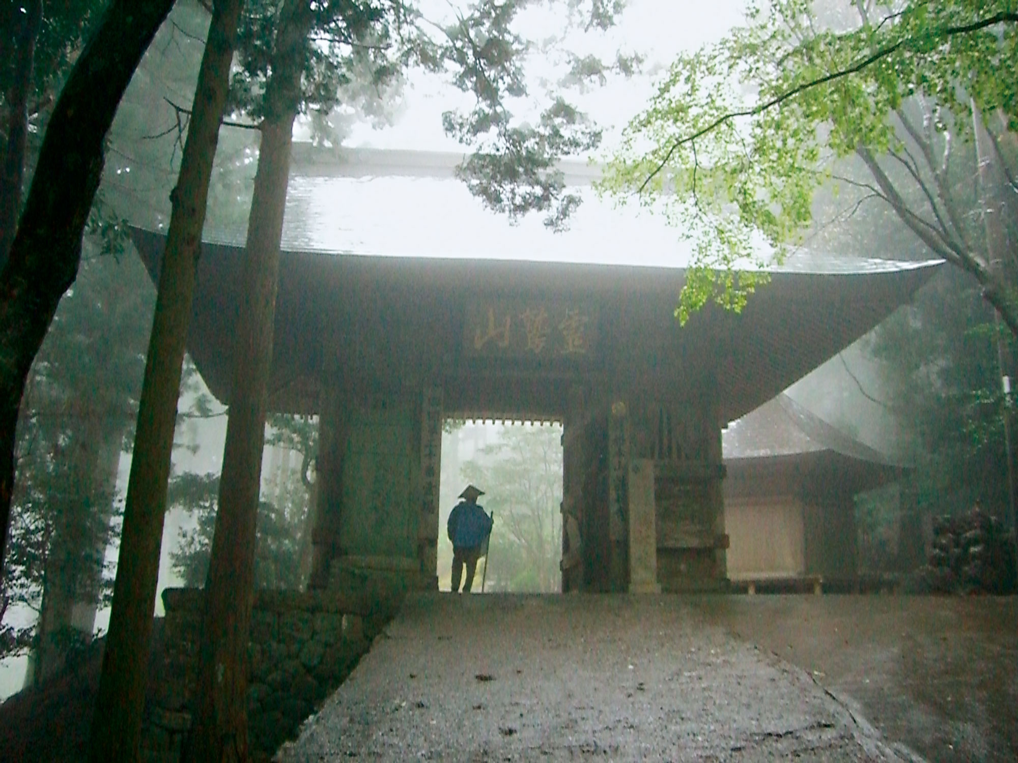 穿過樹林間的第20番鶴林寺山門，四國遍路讓人回歸最純粹與簡單的狀態。（圖片來源／李清瑞）