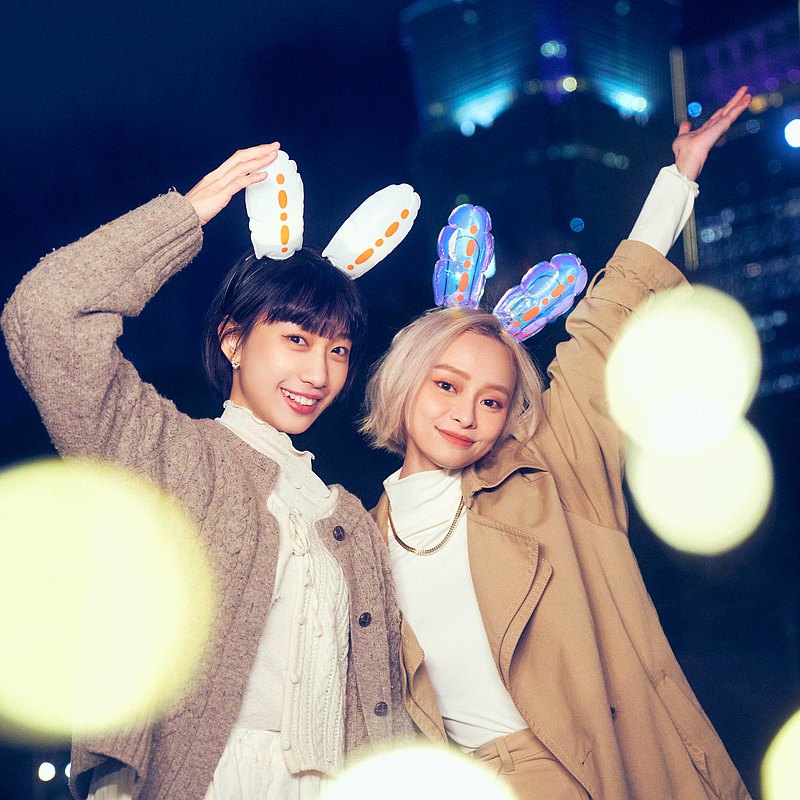 2023台灣燈會推出「兔耳燈」，可DIY 組裝，時髦又好玩。（圖片來源／pinkoi）