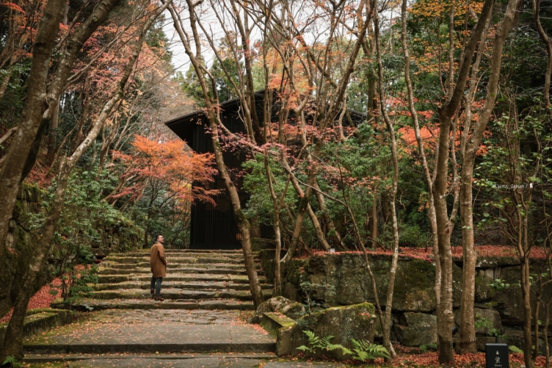 12月中旬的京都安縵，仍有楓樹紅葉，景致極美。（圖片來源／陳耀恩）