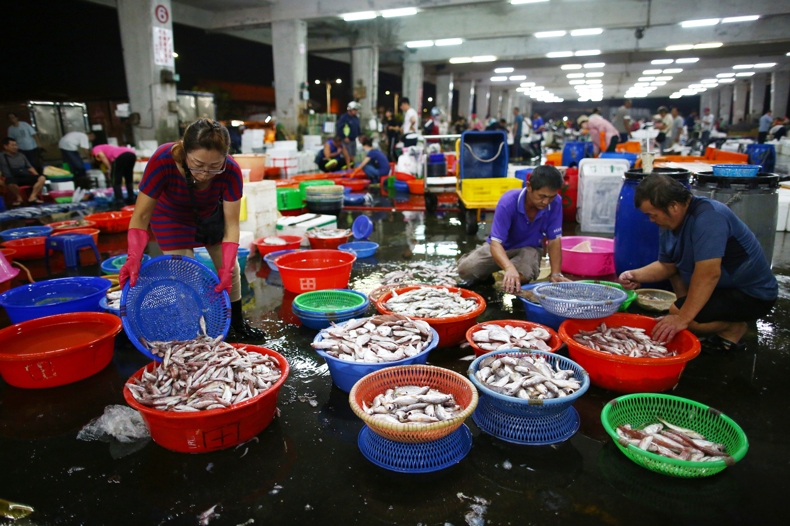凌晨逛東港魚市，無論是旅客、魚販或餐廳店家，都有機會撈到好貨。（攝影／林韋言）