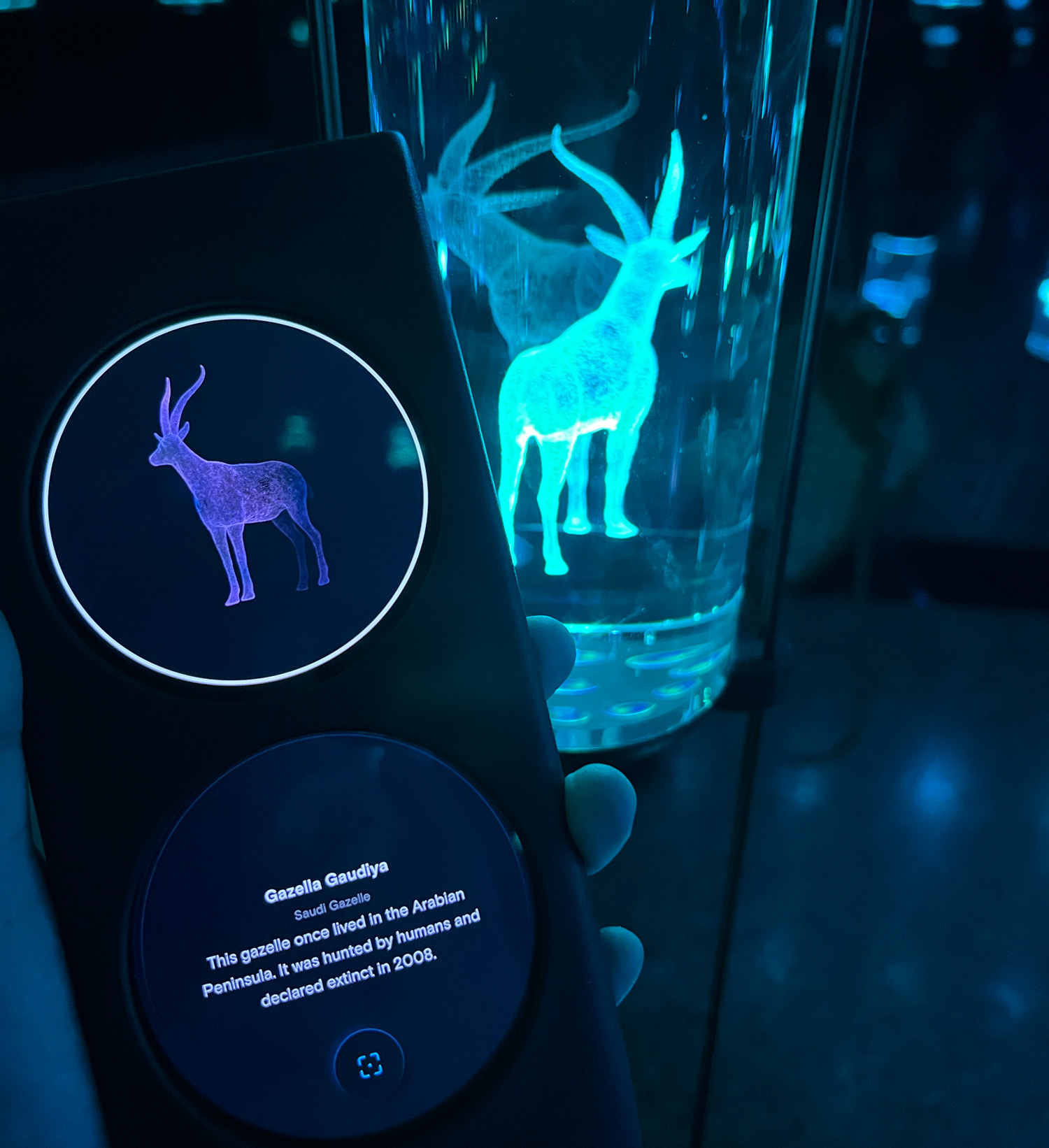未來博物館中的「DNA生命圖書館」布滿超過數千個彩色透明瓶，操作解說器指向瓶身，螢幕上就會顯示瓶中生物資料。（攝影／楊絲貽