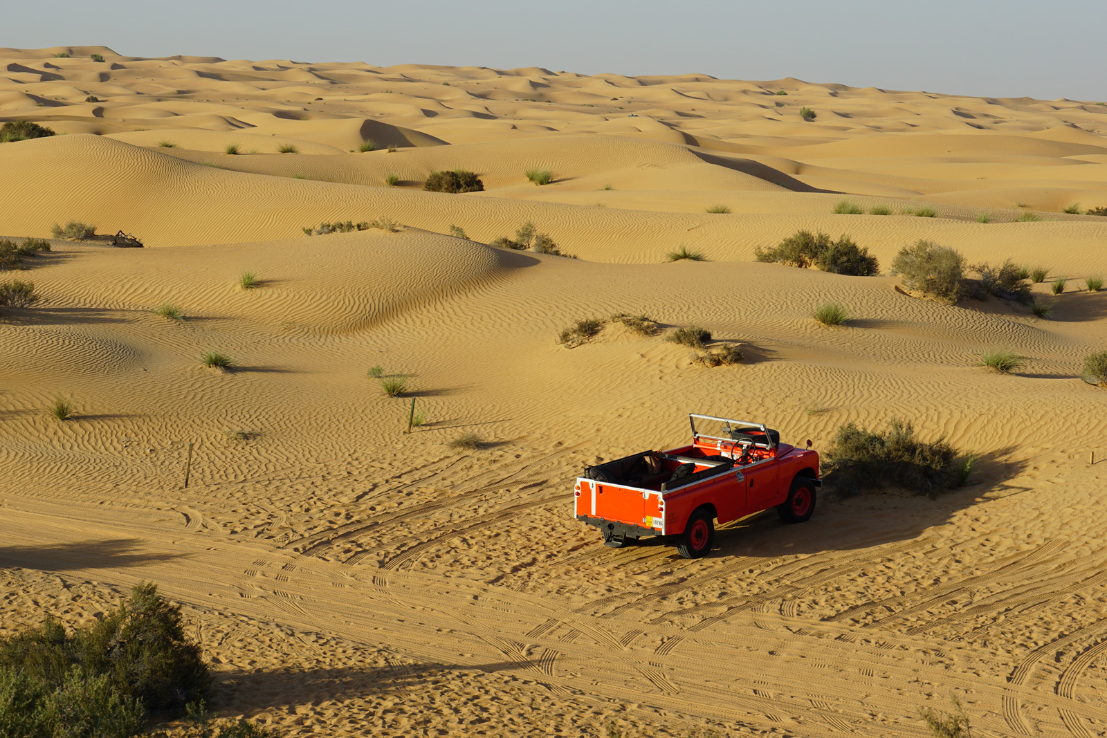 沿沙漠前行追日落，還能同時也能欣賞沙漠獵鷹秀，是杜拜旅遊不可錯過的體驗。（攝影／楊絲貽）