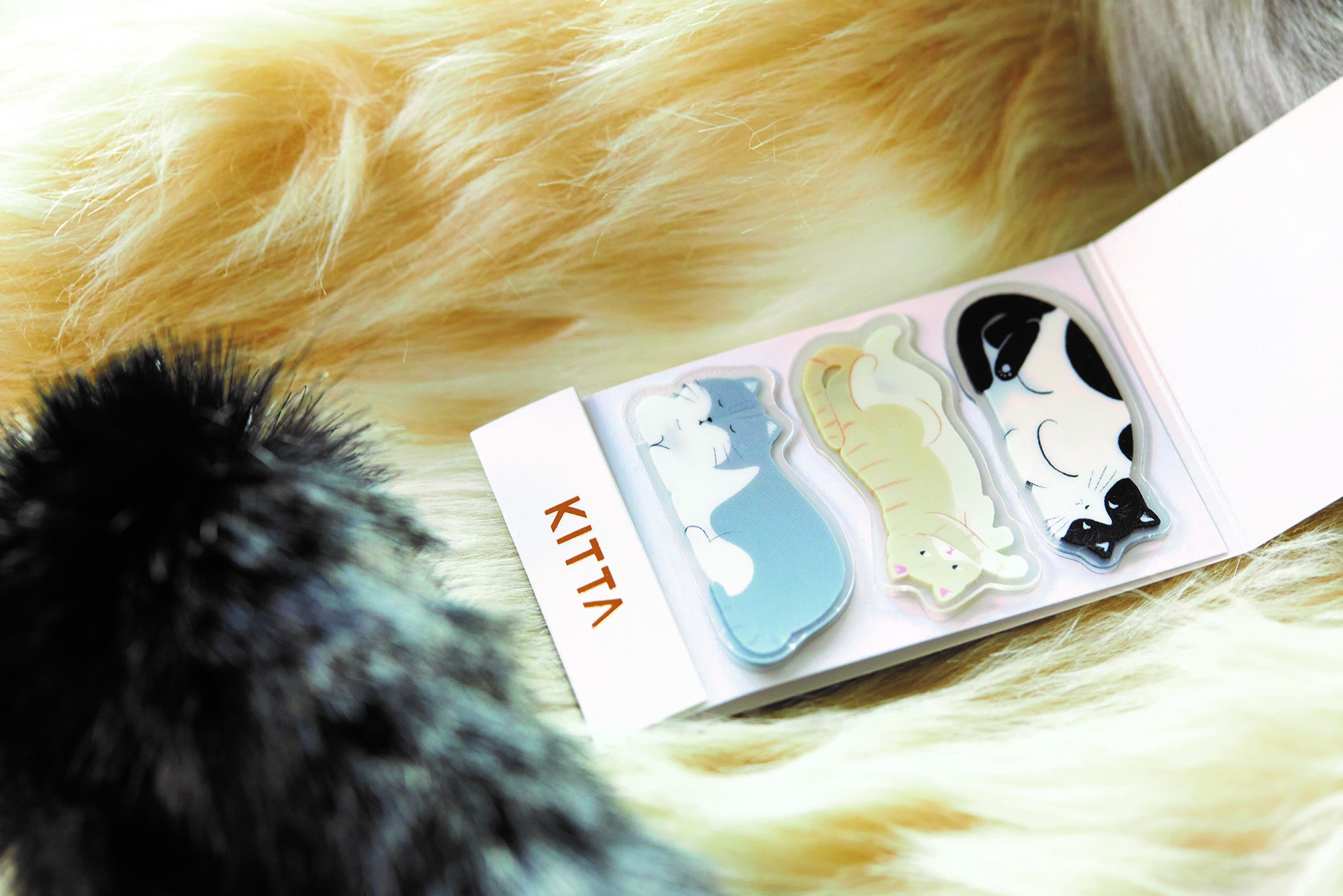 「KING JIM Kitta隨身攜帶和紙膠帶」，可重複黏貼也可使用油性筆書寫，還推出超萌貓咪款式。（圖片來源／誠品書店）