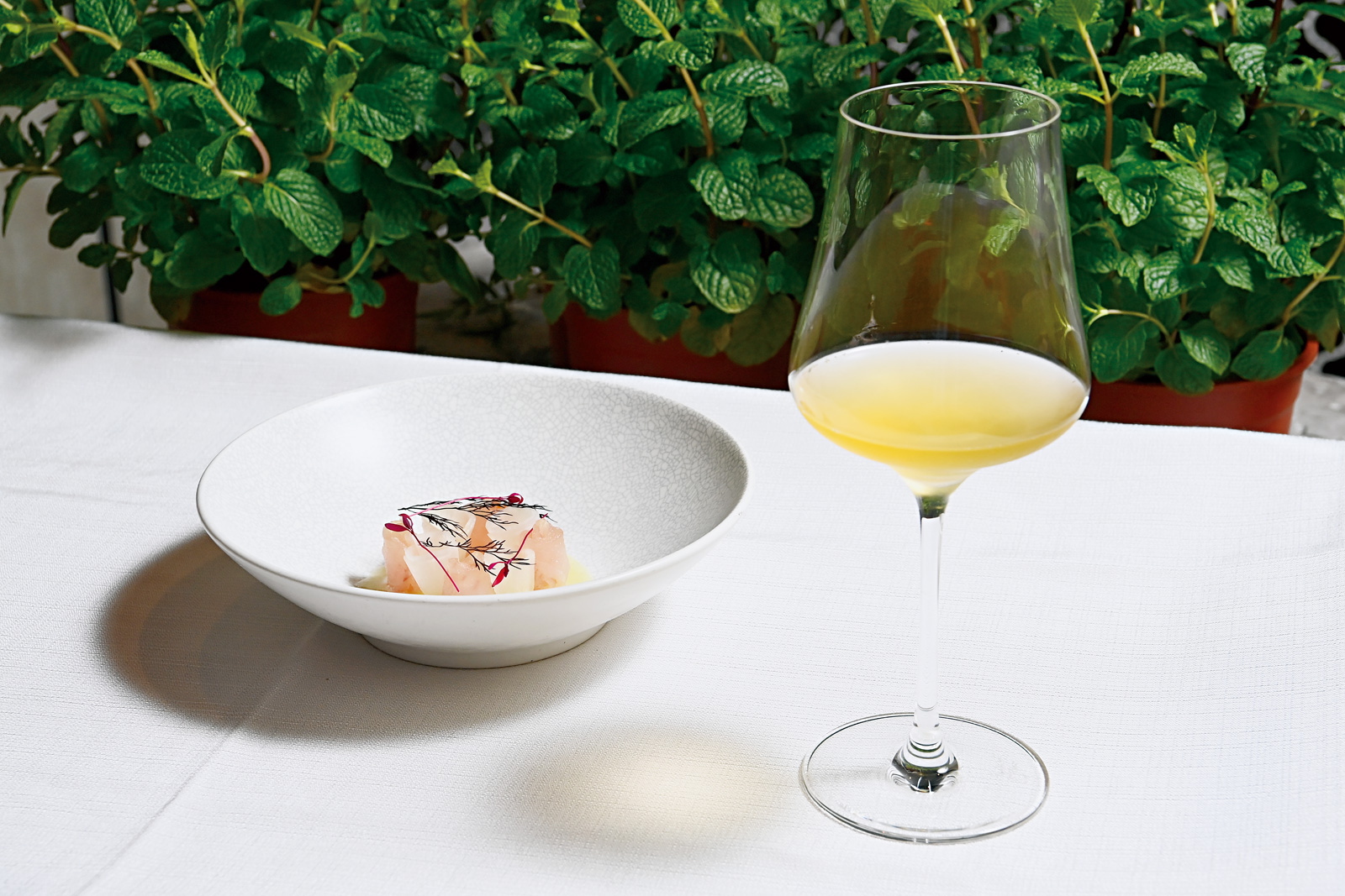 蘭餐廳的開胃佐餐飲為綠茶康普茶，加入葡萄柚二次發酵，搭配紅魽魚生魚片。（攝影／程思迪） 