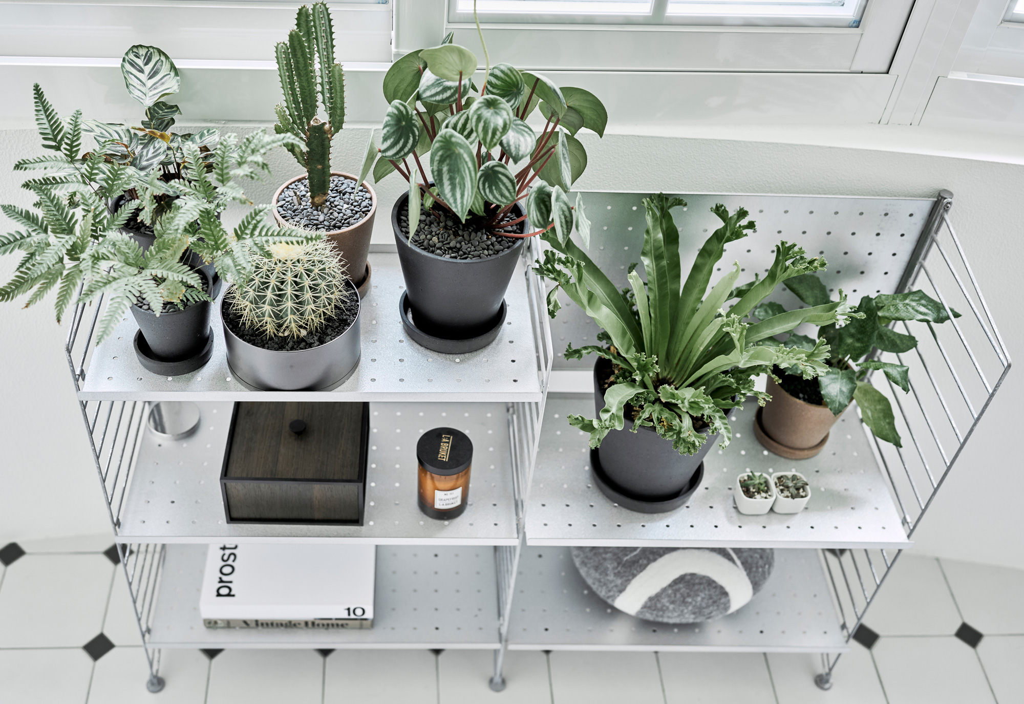 運用可打開的折門式白色木百葉門，搭配層架擺放各式植栽，為室內引進清新綠意。（圖片來源／北鷗設計）