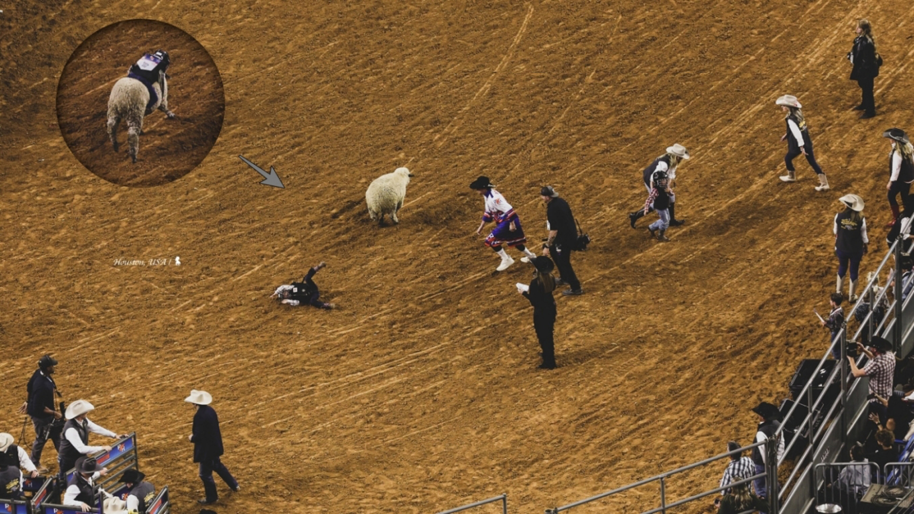 兒童組騎綿羊競賽，可愛之餘也能感受到牛仔文化的傳承。（攝影／陳耀恩）