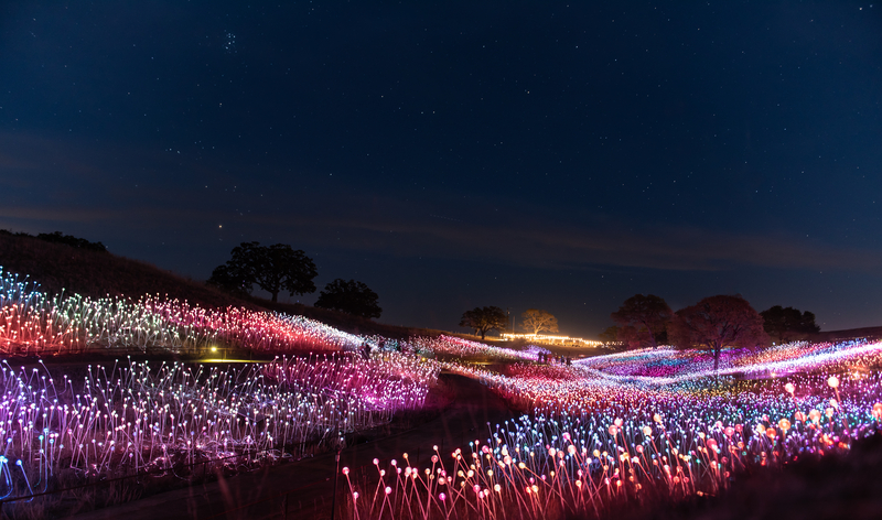 藝術家Bruce Munro的作品Sensorio，由5萬8800個光纖球體組成。（圖片來源／dreamstime）