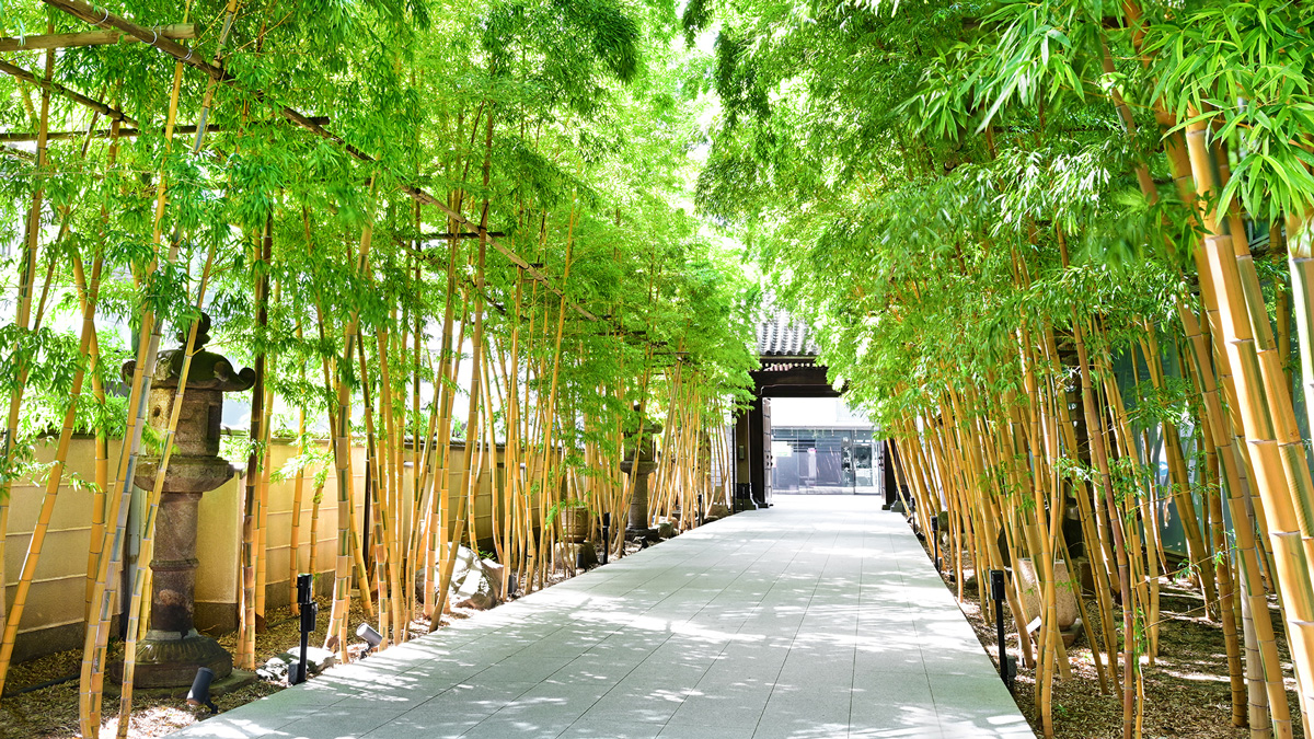 東京青山靈園附近的梅窗院,是一座少數在東京精華區擁有墓地的寺廟。(圖片來源/梅窗院官網)
