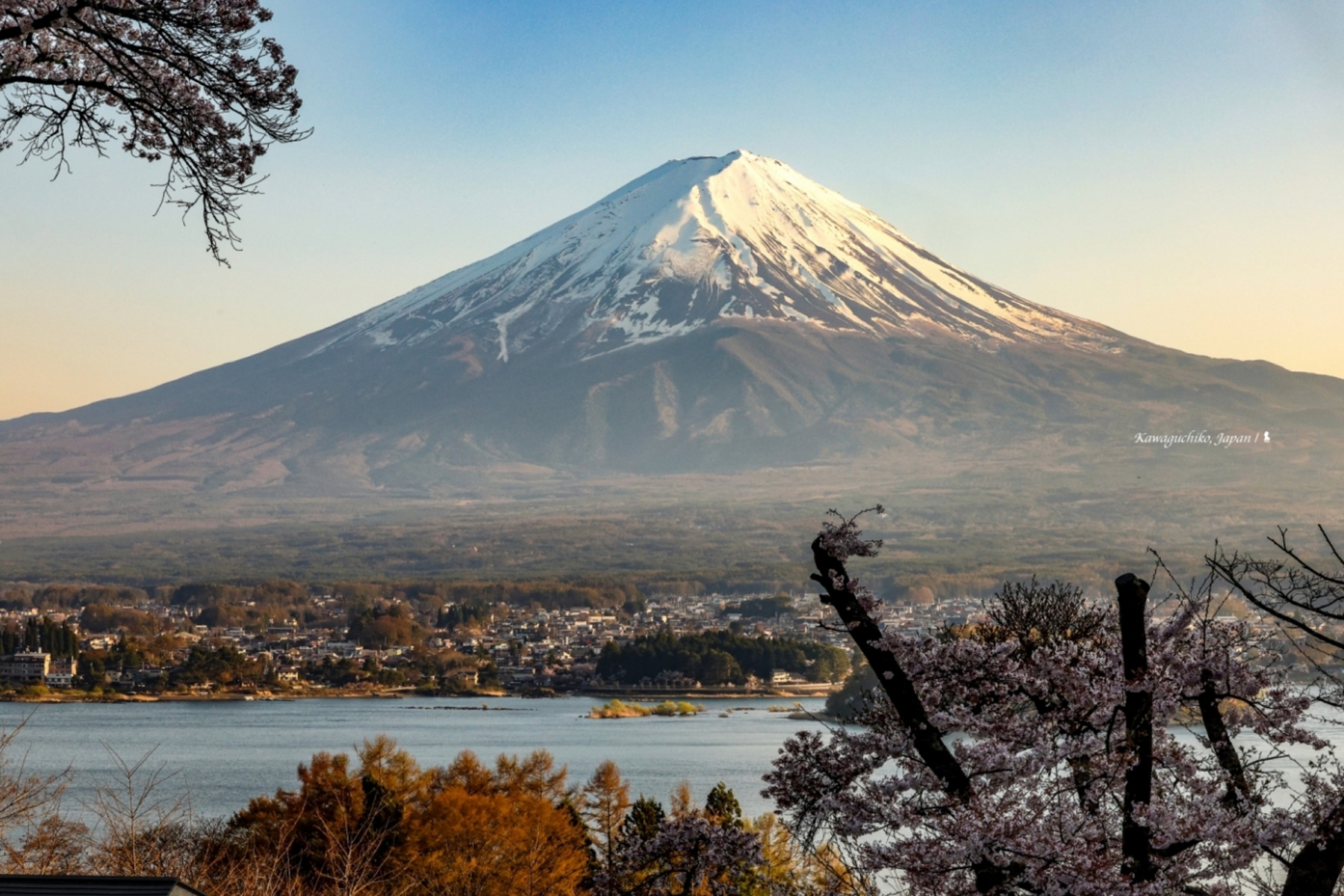 飯店位於海拔100公尺，有著欣賞富士山絕佳的高度與角度。（攝影：陳耀恩）
