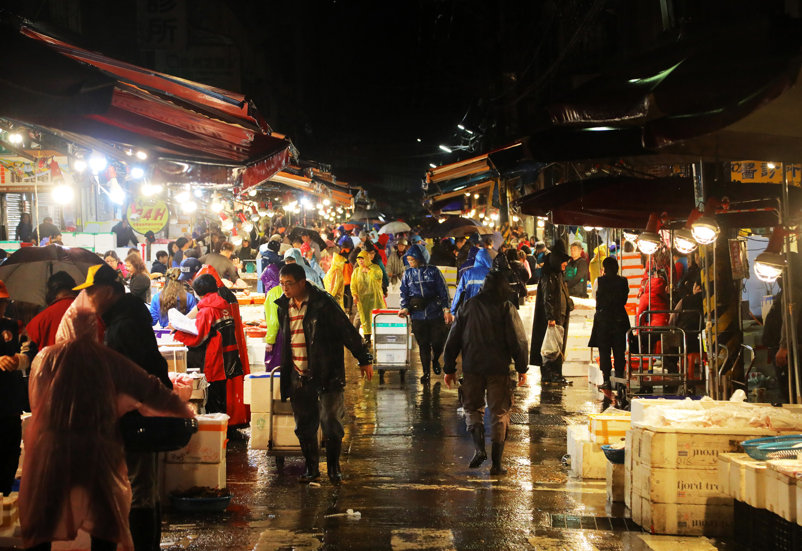 崁仔頂是北台灣最大生鮮魚貨批發市場，凌晨時分許多餐廳、廚師前來挑貨。（攝影：楊文財）