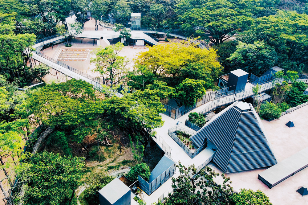 改建的壽山動物園利用錐形的山屋，讓動物得以向上攀爬，多一點自由的空間。（圖片來源：邱文傑建築事務所）