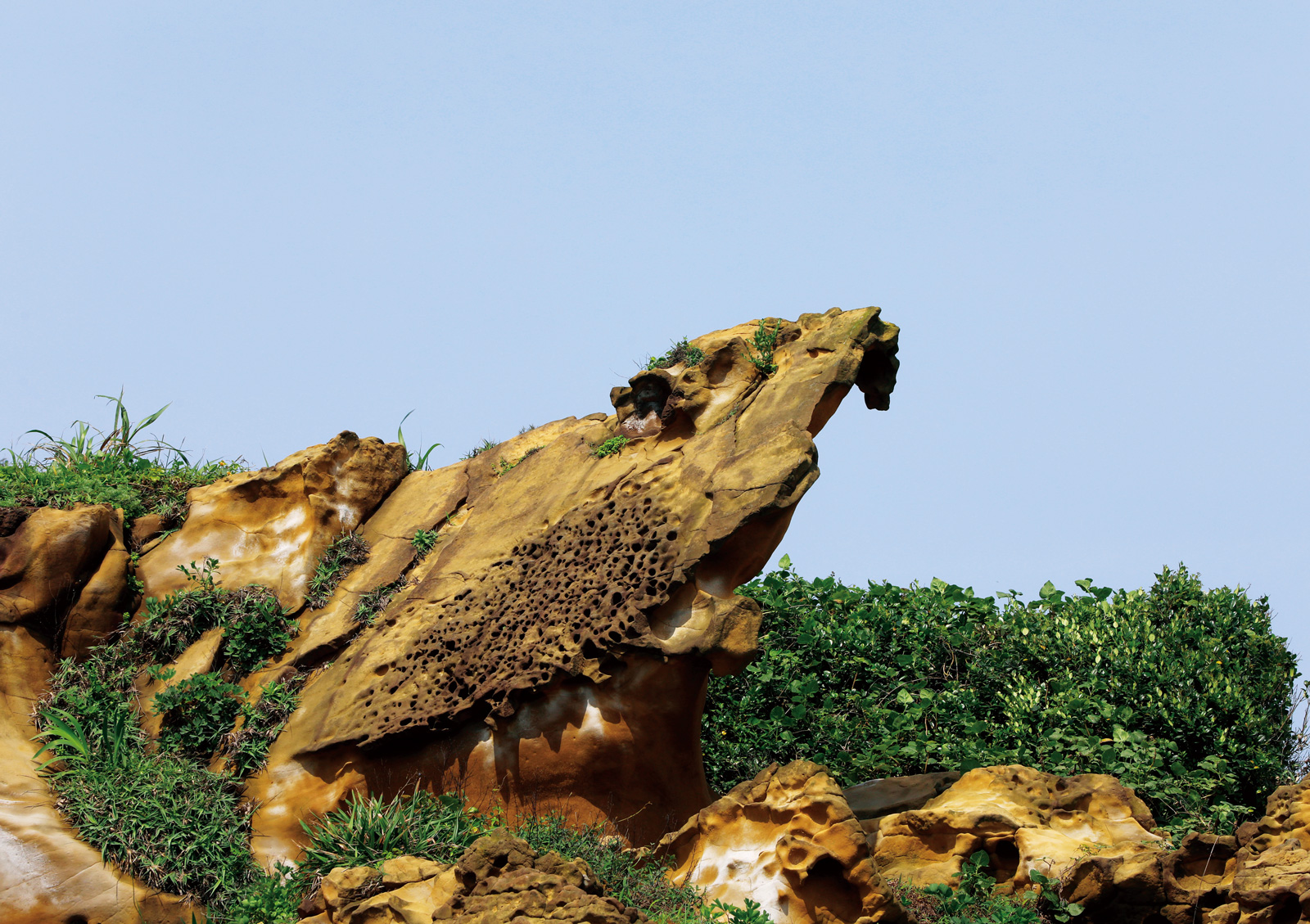 這座奇岩的形狀，像極了新竹市鳥飛鳶。（攝影：楊文財）