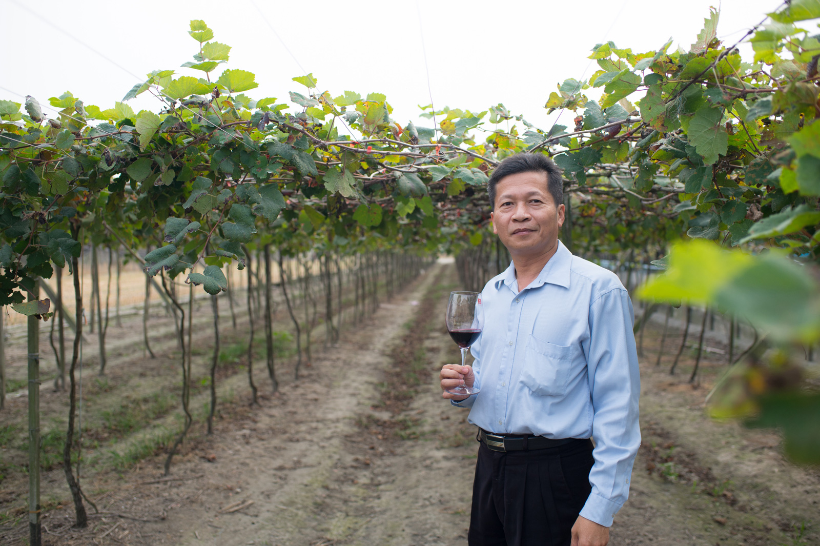 釀酒20幾年的莊主楊秉森相信黃國彥，一起打造台灣葡萄酒的出路。（攝影：李明宜）