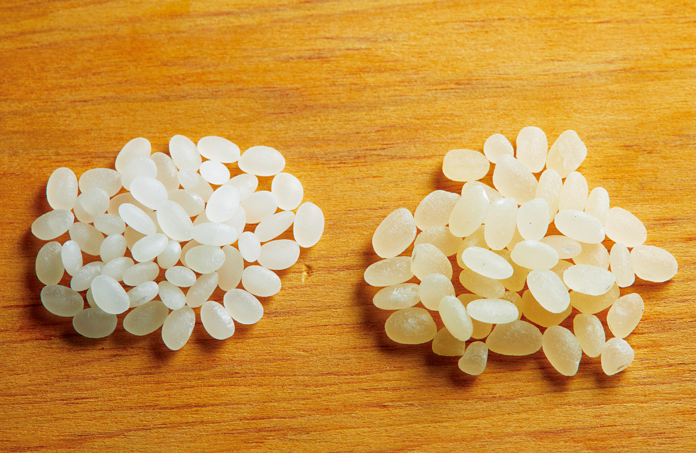製作清酒前，得進行把米外層磨除的「精米作業」，左為45%的精米度，右為米的原粒。（攝影：王文廷）