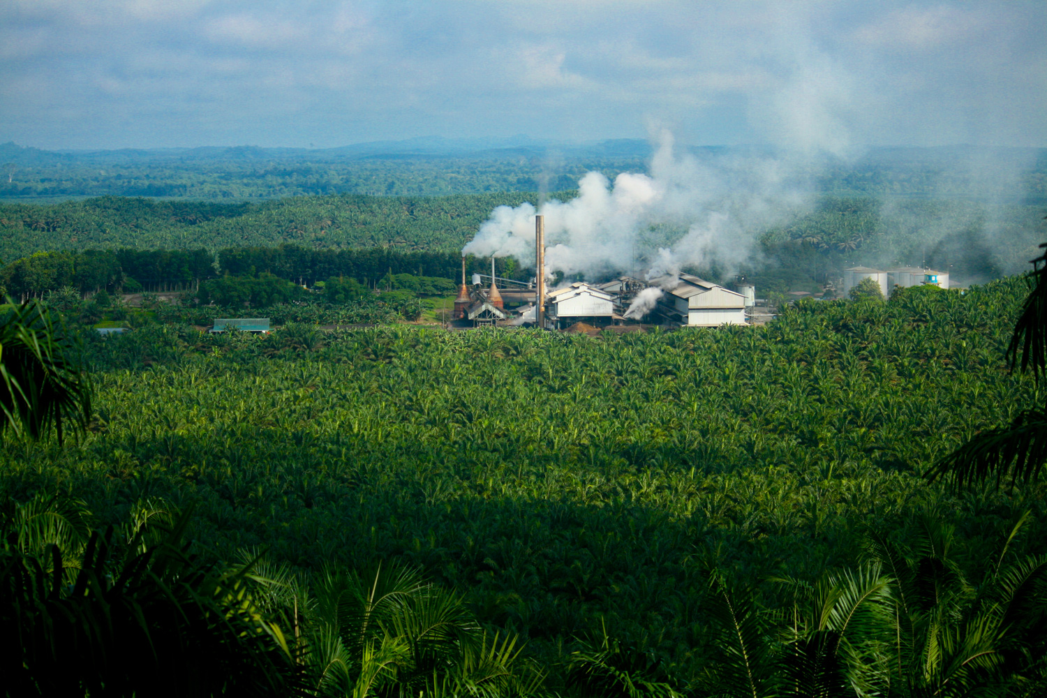 馬來西亞一家正在運營的棕櫚油廠。（圖片來源：Dreamstime／典匠影像）