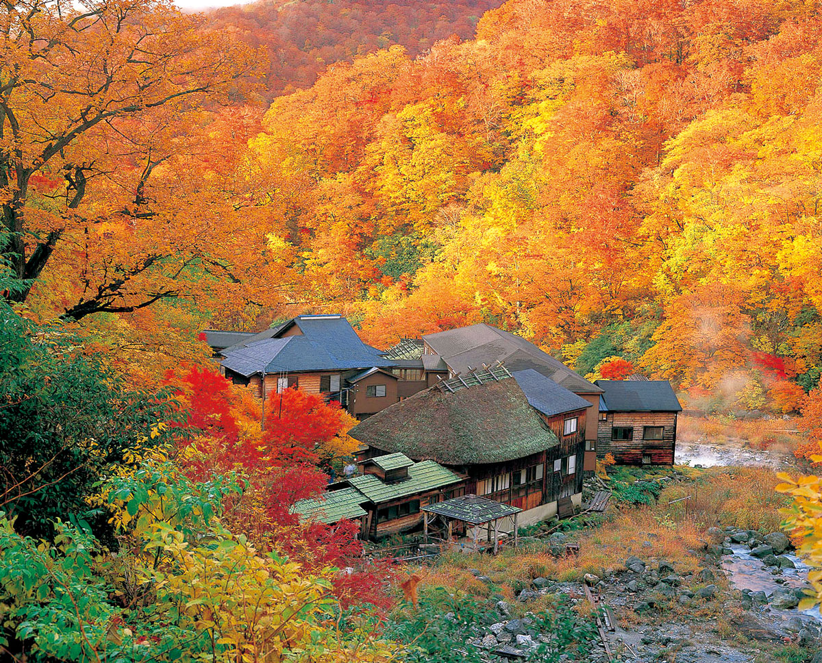 秋田縣的乳頭溫泉鄉也是有名的楓紅勝地，可以一邊泡湯，一邊欣賞被楓紅圍繞的美景。（圖片來源：JR東日本提供）