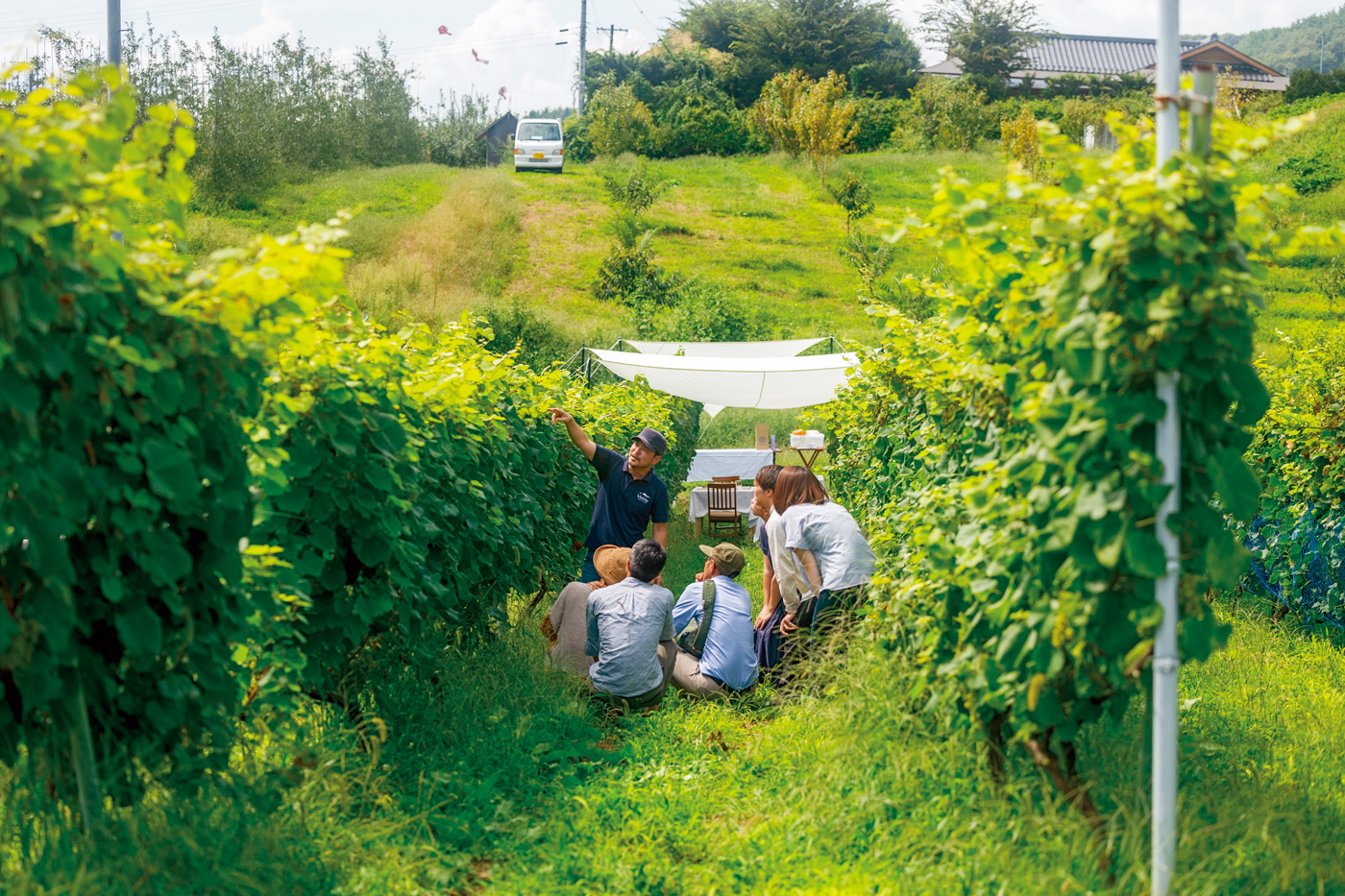 用餐前，會有專人導覽果園內當季水果的生長與背景由來。（圖片來源：Orchard提供）