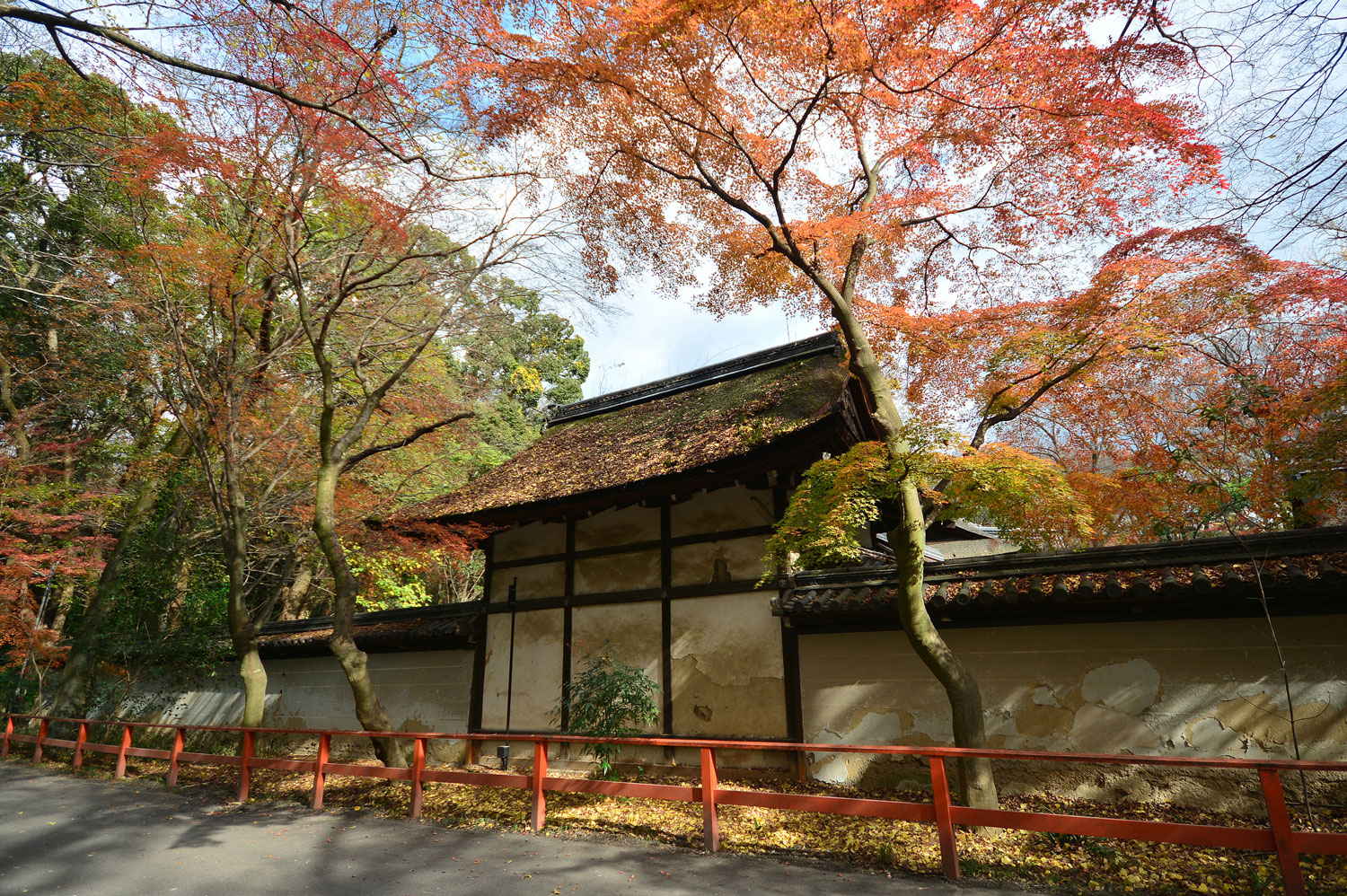 京都下鴨神社是日本最古老神社之一，也是著名的秋季賞楓地點。（圖片來源：Dreamstime／典匠影像）