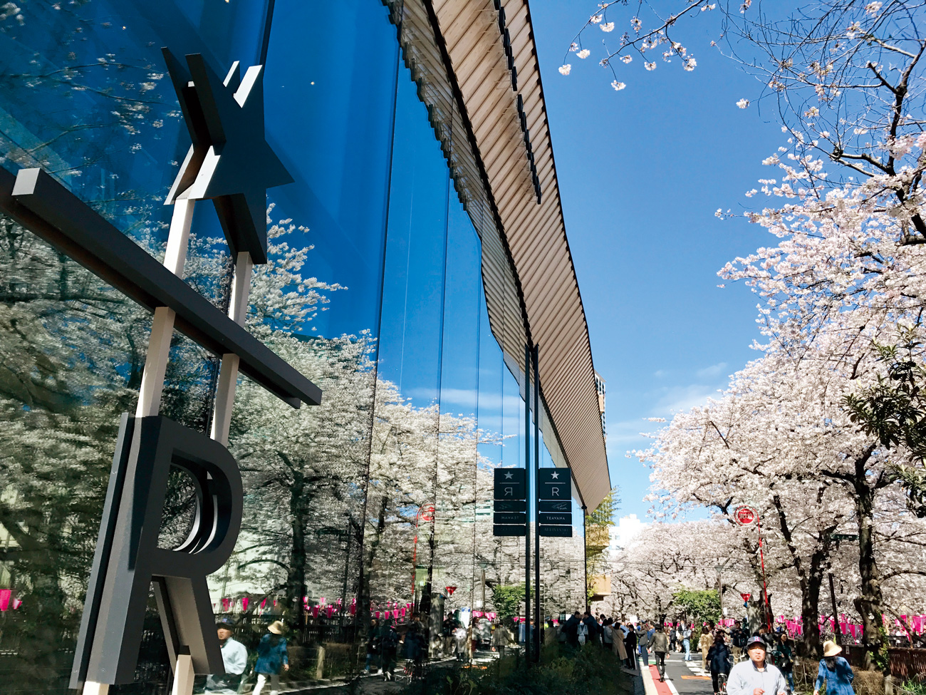 由知名建築師隈研吾設計的「星巴克臻選烘焙工坊」，地點選擇在春天櫻花的一級戰區「中目黑」，與帷幕玻璃外的目黑川櫻花相互競豔。（攝影：李清志）
