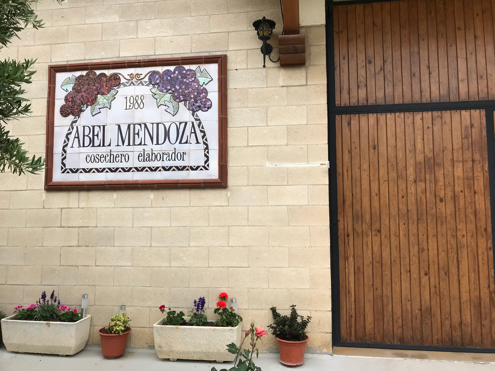 阿貝・門多薩(Abel Mendoza)是一家特別在葡萄園下功夫的菁英小酒莊,他的格拉西亞諾總能有更完美的成熟。(圖片來源:丁珮雯提供)