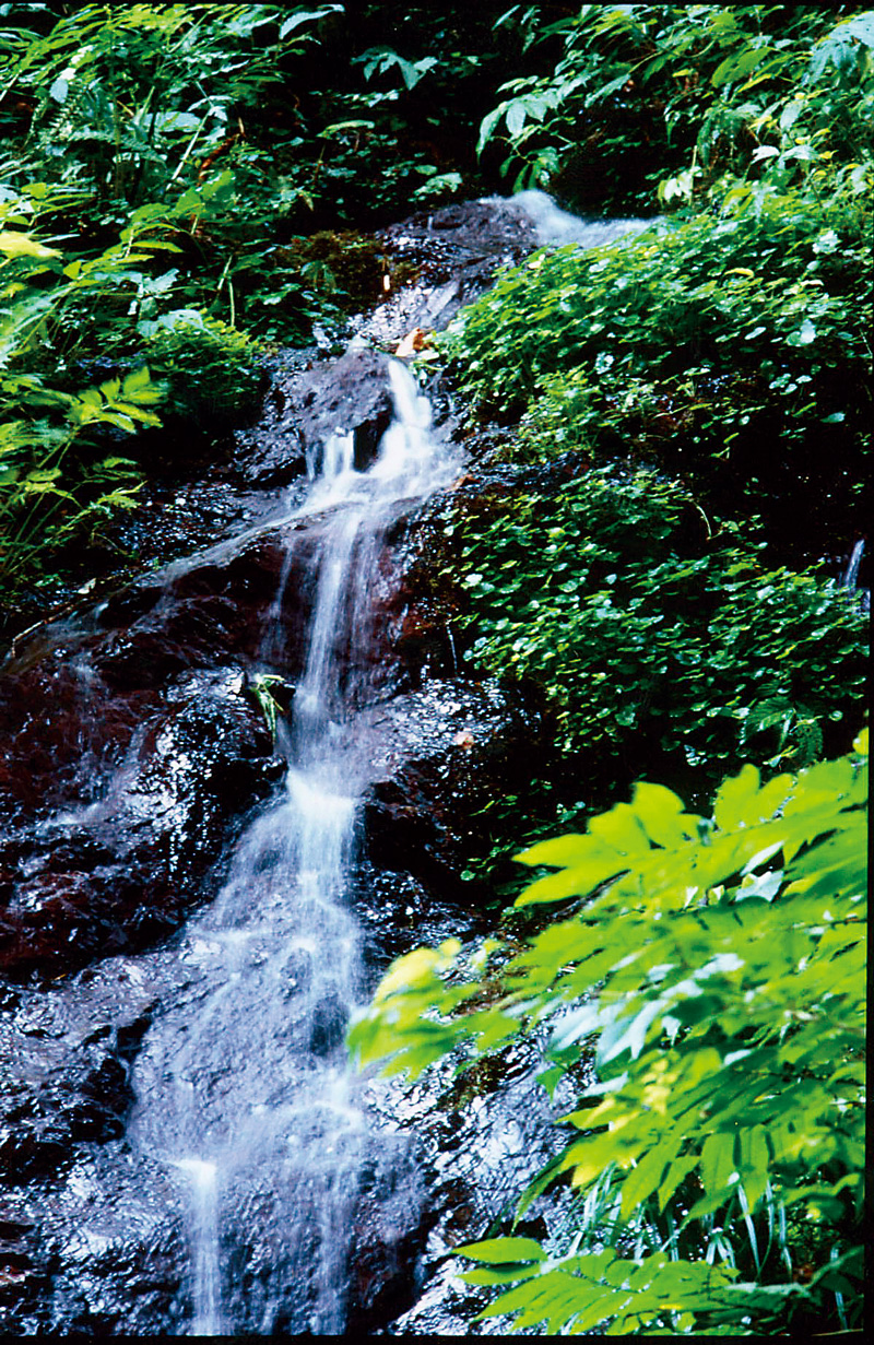南魚沼市的超軟水，是新潟清酒最重要的原料。（圖片來源：八海釀造株式會社提供）