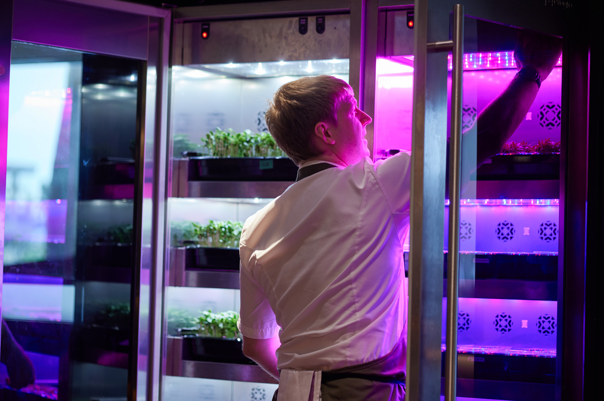 溫室櫃是在香港變出菜園的最聰明方式之一，運用Evogro技術水耕種植微型蔬菜，帶有紫外線的照明設備模擬陽光。（攝影：石吉弘）