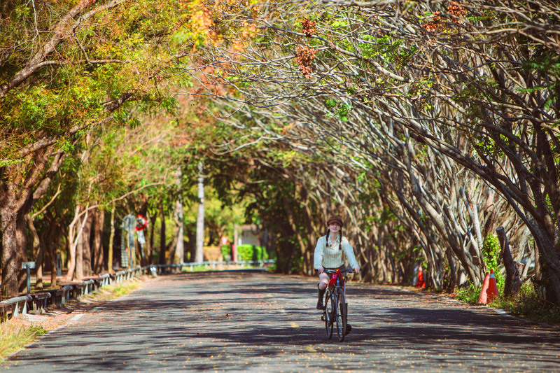 連俞涵非常喜歡客家文物館後方的東豐綠色走廊自行車道，美麗的景緻讓她彷彿置身在歐洲。