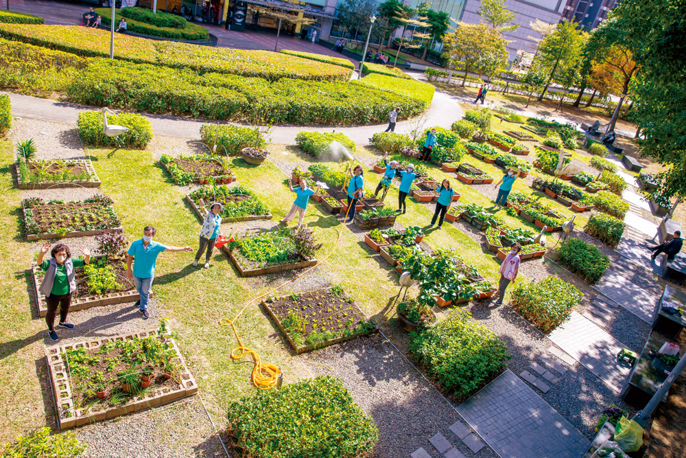 天母SOGO後方的里民菜園有20多位志工輪流排班維護，是社區凝聚的重要力量。（攝影：郭涵羚）