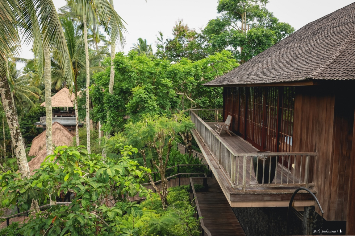 坐擁雨林的大露台，是Jalak房型的賣點之一。（圖片來源：陳耀恩提供）