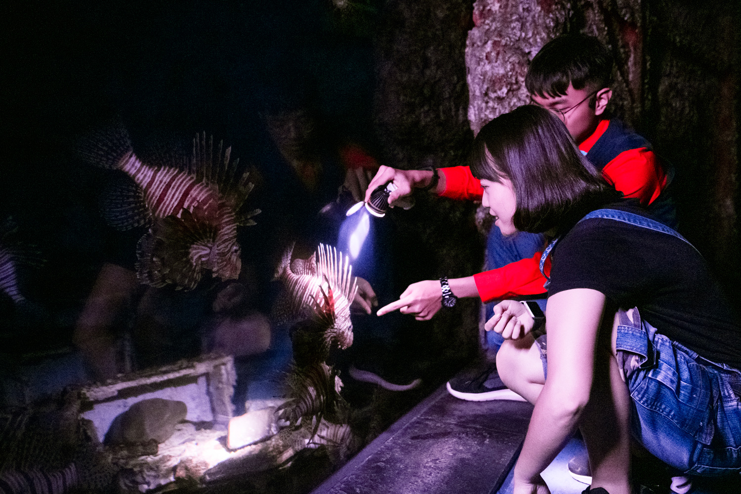 夜探海生館活動，可以跟著導覽員的手電筒，穿梭館中找尋夜間生物。（圖片來源：屏東海生館提供）