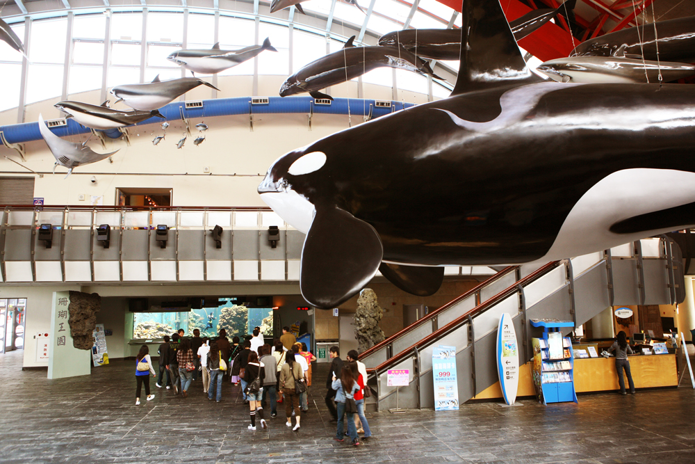 海生館的入口處中庭，擺放著原尺寸的鯨鯊模型，更顯氣勢十足。（攝影：陳郁文）