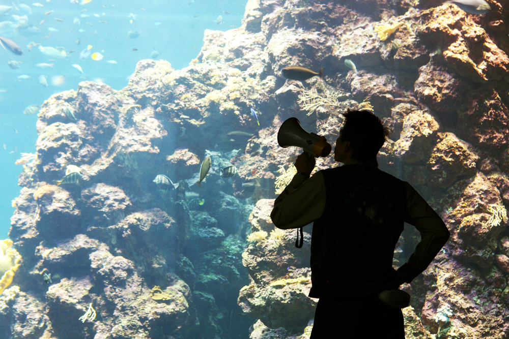 來到屏東海洋生態博物館，在偌大的館中若不想走馬看花，不妨找位解說員聽聽生動又詳實的海洋知識。（攝影：陳郁文）