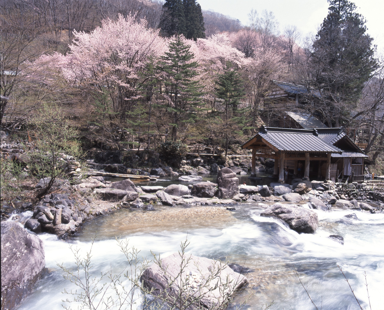 群馬縣「寶川溫泉汪泉閣」曾被評選為「日本十大溫泉」之一，更被譽為天下第一大露天溫泉浴池。（圖片來源：Booking.com提供）