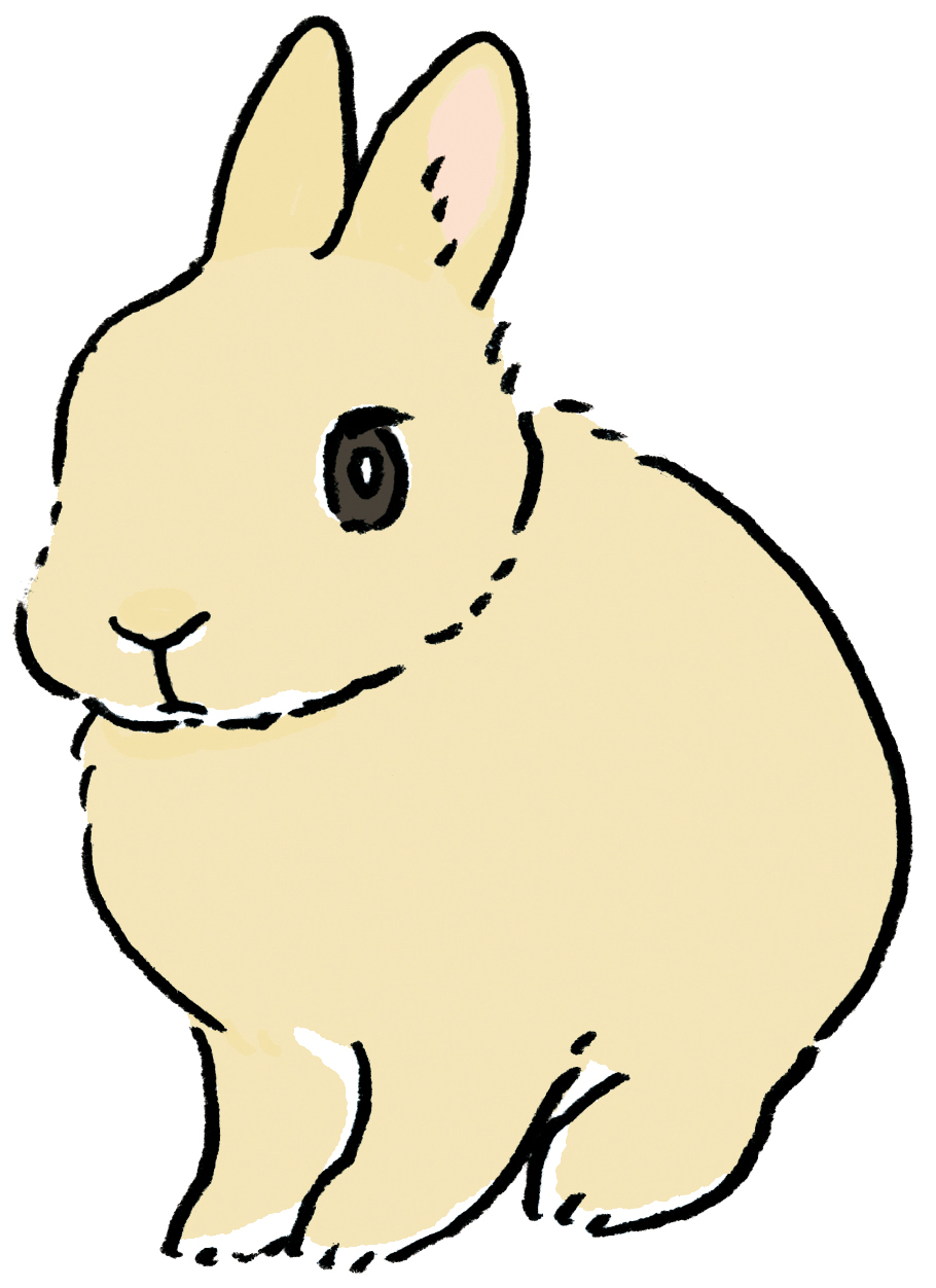 短毛兔包含了荷蘭侏儒兔、荷蘭垂耳兔等等。（圖片來源：遠流提供）