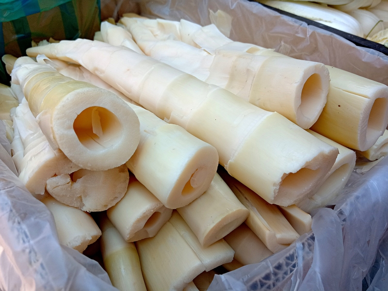 桂竹筍只有10卡的熱量，又富含纖維質與蛋白質，是美味天然的健康菜餚。