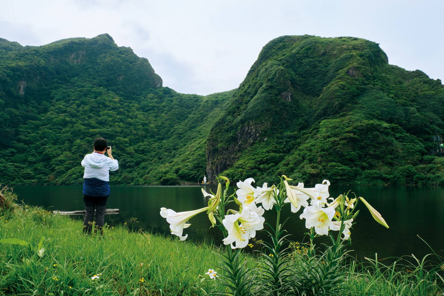 漫步在龜尾湖畔，是欣賞百合花的最佳地點，隨意拍張照片都能捕捉到島上獨特的美感。（攝影：高大鈞）