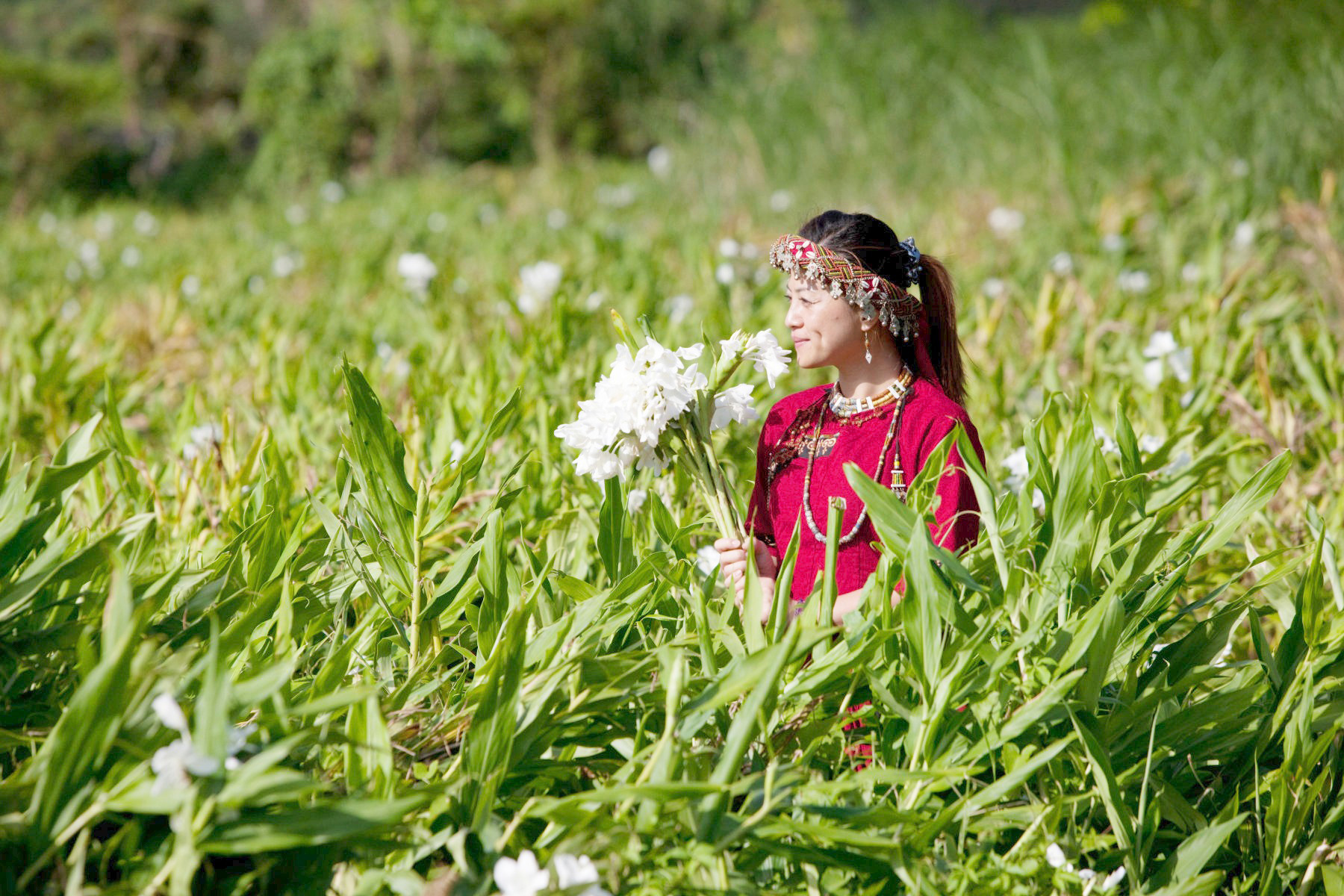 屏東縣牡丹鄉東源部落每年6月開始，野薑花陸續開花，能見到百花齊放的盛況。（圖片來源：牡丹鄉公所提供）