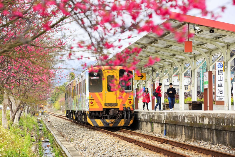 有「櫻花車站」美稱的橫山車站，吸引眾多追櫻迷和攝影同好者。