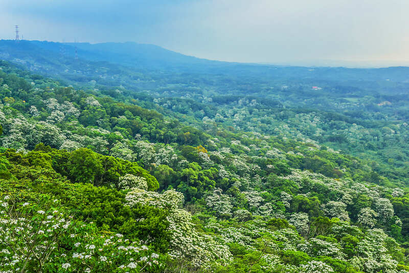 九華山天空步道