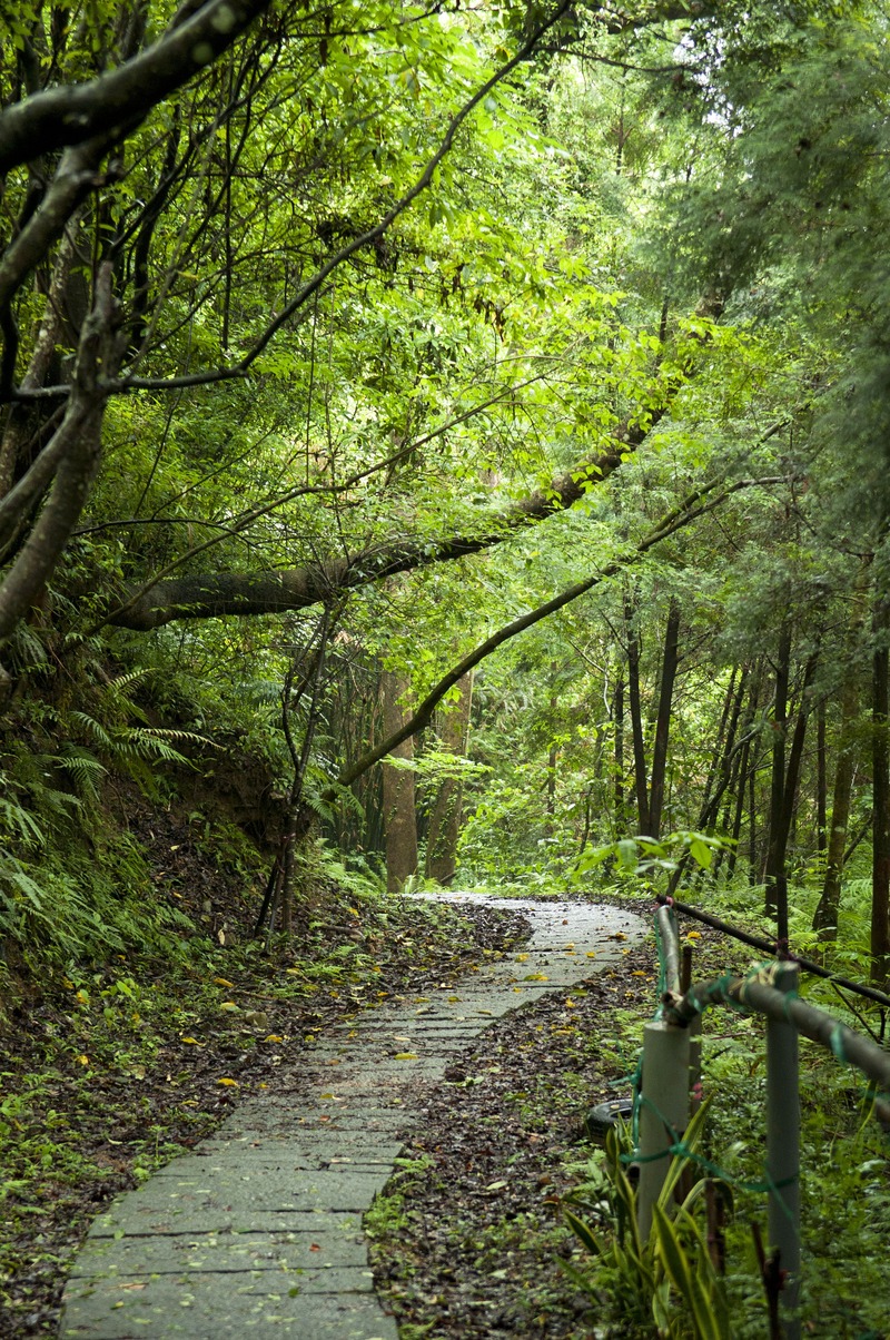 樟之細路 騎龍古道