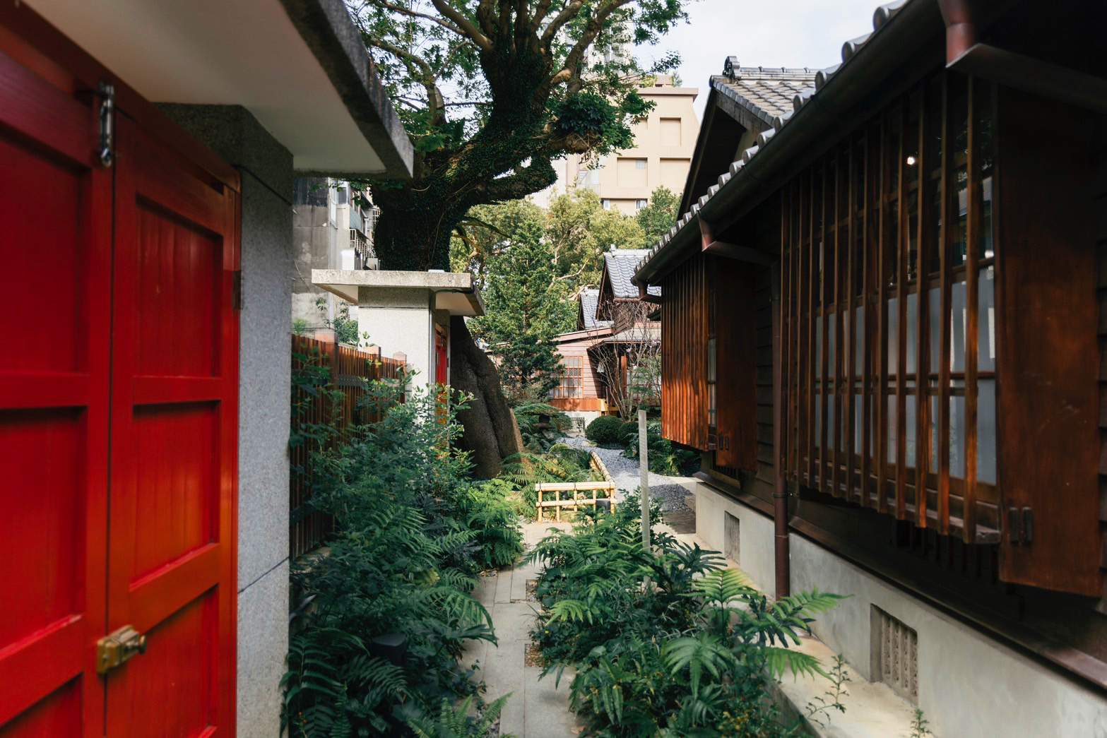 「蒔光巷」以家庭花園為靈感，穿插復育成功的瀕危植物，形成了一個生態共生環境。（圖片來源：勤美集團提供）